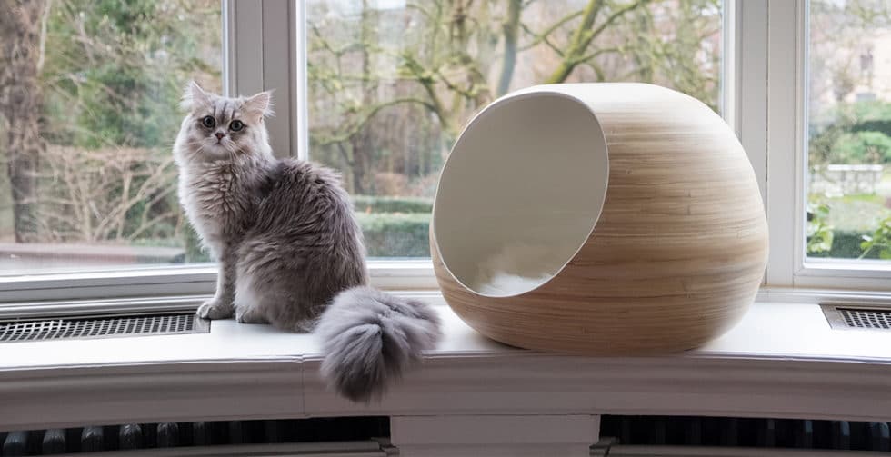 Paniers Et Maisons Écologiques Pour Chats😻 Feerie Green