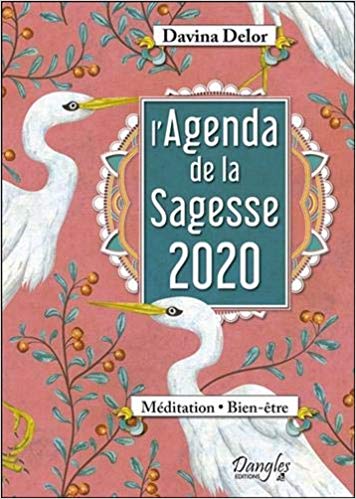 Agenda  2020 sur la sagesse