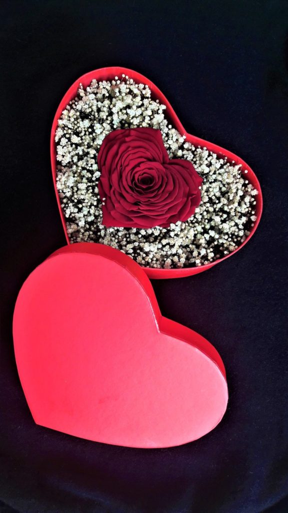 Rose éternelle en cœur dans boite cadeau, gypsophile stabilisé Cadeaux de Saint Valentin écologiques