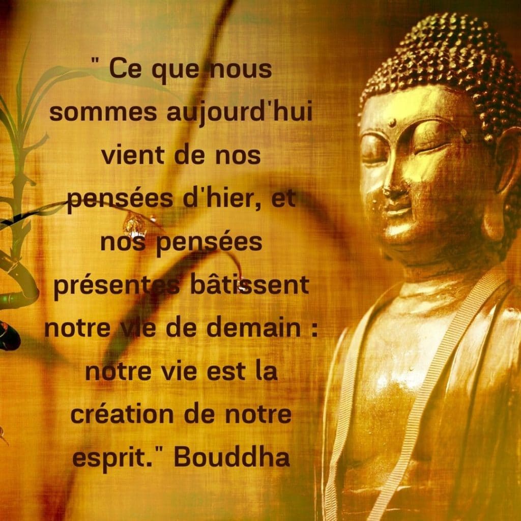 loi d'attraction - citation de bouddha