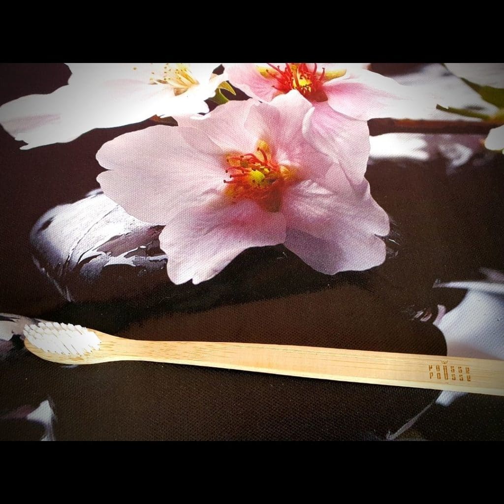 brosse à dents en Bambou de pousse pousse