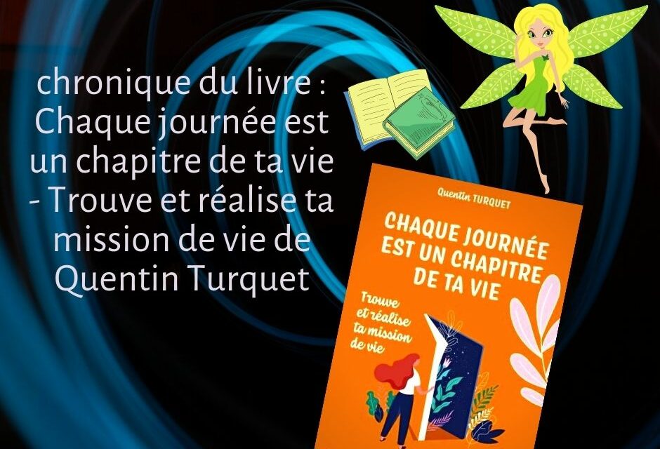 Chaque journée est un chapitre de ta vie: Trouve et réalise ta mission de vie de Quentin Turquet